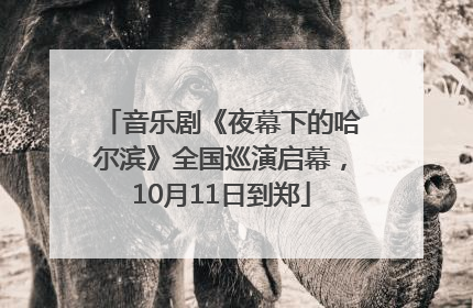 音乐剧《夜幕下的哈尔滨》全国巡演启幕，10月11日到郑
