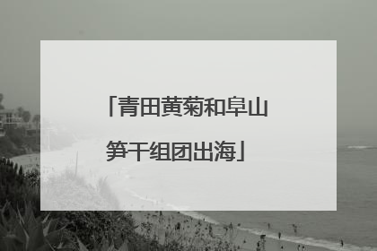 青田黄菊和阜山笋干组团出海