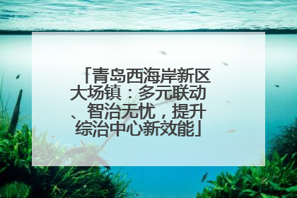 青岛西海岸新区大场镇：多元联动、智治无忧，提升综治中心新效能