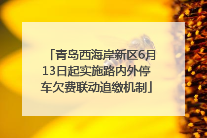青岛西海岸新区6月13日起实施路内外停车欠费联动追缴机制