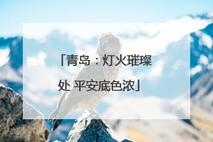 青岛：灯火璀璨处 平安底色浓