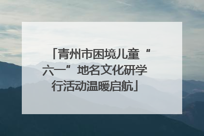 青州市困境儿童“六一”地名文化研学行活动温暖启航