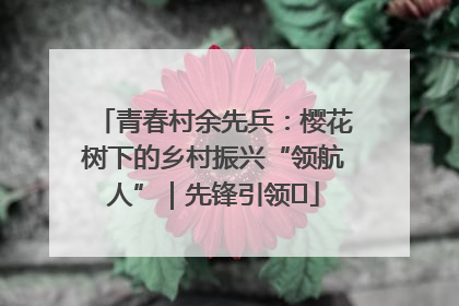 青春村余先兵：樱花树下的乡村振兴“领航人”｜先锋引领⑪