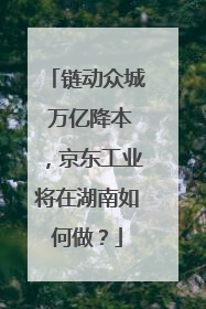 链动众城 万亿降本，京东工业将在湖南如何做？