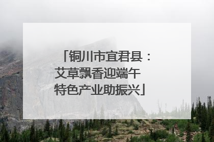 铜川市宜君县：艾草飘香迎端午 特色产业助振兴