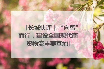 长城快评｜“向智”而行，建设全国现代商贸物流重要基地