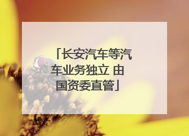 长安汽车等汽车业务独立 由国资委直管