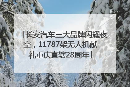 长安汽车三大品牌闪耀夜空，11787架无人机献礼重庆直辖28周年