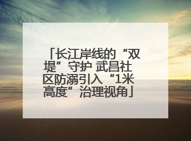 长江岸线的“双堤”守护 武昌社区防溺引入“1米高度”治理视角