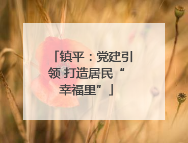 镇平：党建引领 打造居民“幸福里”