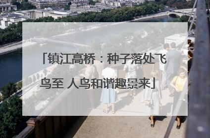 镇江高桥：种子落处飞鸟至 人鸟和谐趣景来