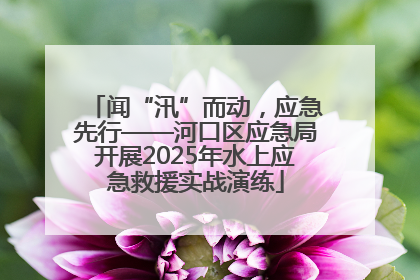 闻“汛”而动，应急先行——河口区应急局开展2025年水上应急救援实战演练
