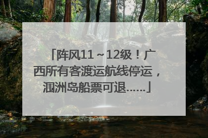 阵风11～12级！广西所有客渡运航线停运，涠洲岛船票可退……