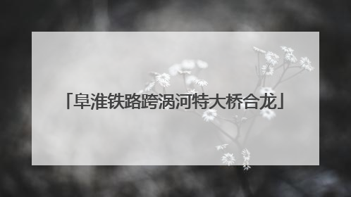 阜淮铁路跨涡河特大桥合龙