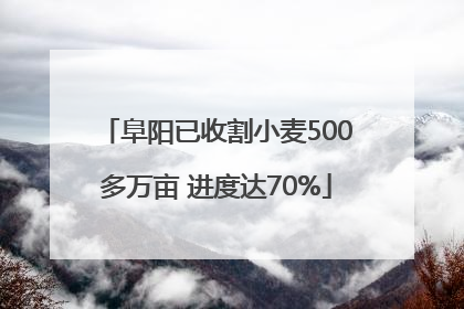 阜阳已收割小麦500多万亩 进度达70%