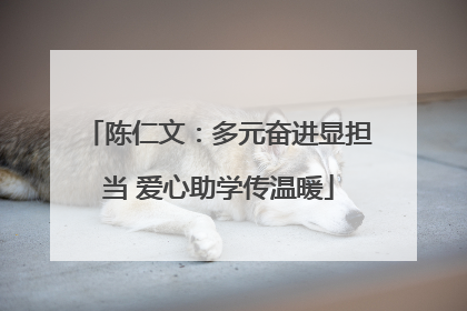 陈仁文：多元奋进显担当 爱心助学传温暖