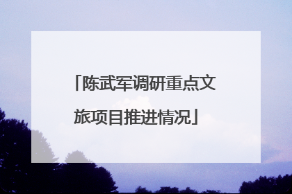 陈武军调研重点文旅项目推进情况