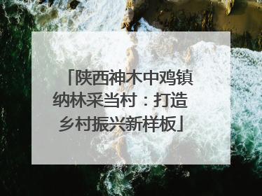 陕西神木中鸡镇纳林采当村：打造乡村振兴新样板