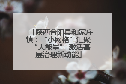 陕西合阳县和家庄镇：“小网格”汇聚“大能量” 激活基层治理新动能