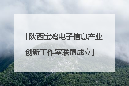 陕西宝鸡电子信息产业创新工作室联盟成立