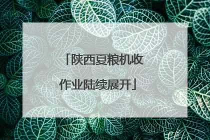 陕西夏粮机收作业陆续展开