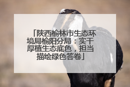 陕西榆林市生态环境局榆阳分局：实干厚植生态底色，担当描绘绿色答卷