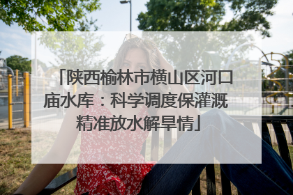 陕西榆林市横山区河口庙水库：科学调度保灌溉 精准放水解旱情