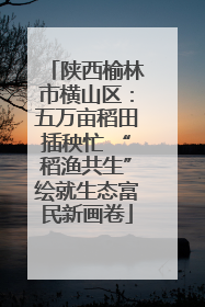 陕西榆林市横山区：五万亩稻田插秧忙 “稻渔共生”绘就生态富民新画卷