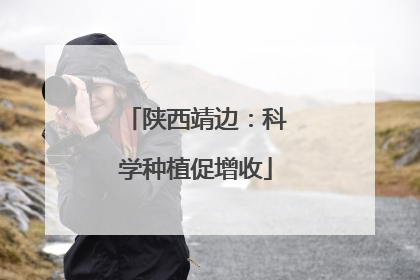 陕西靖边：科学种植促增收
