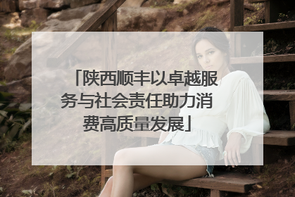 陕西顺丰以卓越服务与社会责任助力消费高质量发展