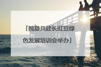 院县共建长豇豆绿色发展培训会举办