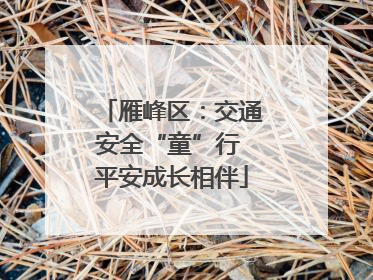雁峰区：交通安全“童”行 平安成长相伴