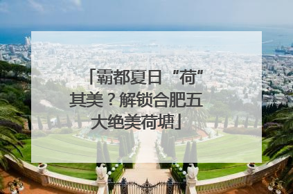 霸都夏日“荷”其美？解锁合肥五大绝美荷塘