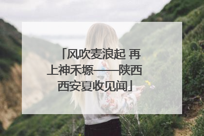 风吹麦浪起 再上神禾塬——陕西西安夏收见闻
