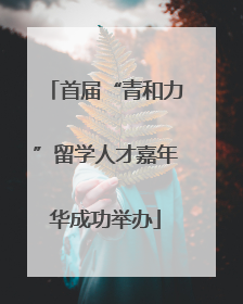 首届“青和力”留学人才嘉年华成功举办