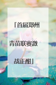 首届郑州青苗联赛激战正酣