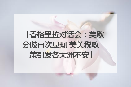 香格里拉对话会：美欧分歧再次显现 美关税政策引发各大洲不安