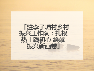 驻李子塘村乡村振兴工作队：扎根热土践初心 绘就振兴新画卷
