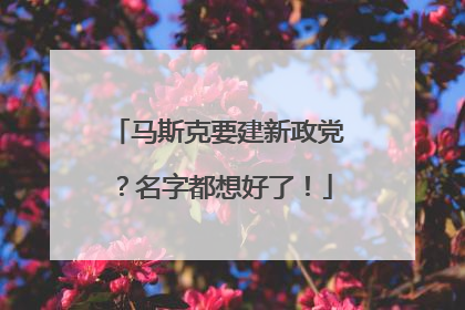 马斯克要建新政党？名字都想好了！