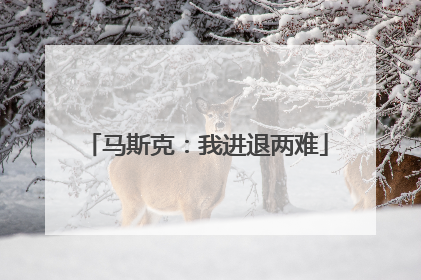 马斯克：我进退两难