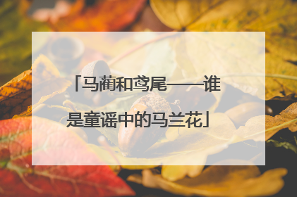 马蔺和鸢尾——谁是童谣中的马兰花