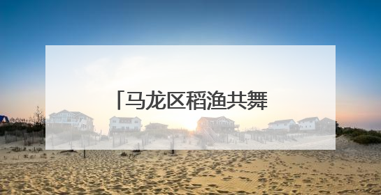 马龙区稻渔共舞促增收 稻渔订单生产共致富