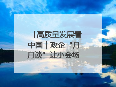 高质量发展看中国｜政企“月月谈”让小会场撬动大营商