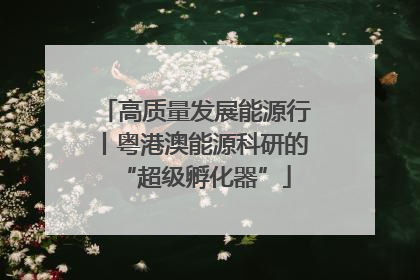 高质量发展能源行丨粤港澳能源科研的“超级孵化器”