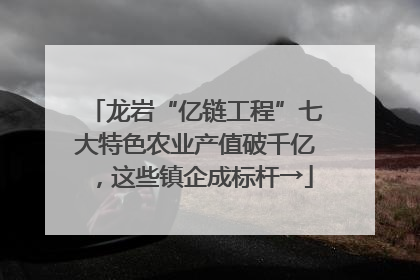 龙岩“亿链工程”七大特色农业产值破千亿，这些镇企成标杆→