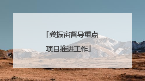 龚振宙督导重点项目推进工作