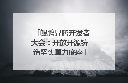 鲲鹏昇腾开发者大会：开放开源铸造坚实算力底座