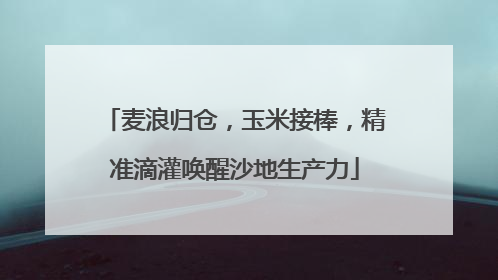 麦浪归仓，玉米接棒，精准滴灌唤醒沙地生产力