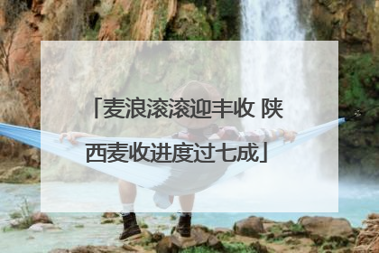 麦浪滚滚迎丰收 陕西麦收进度过七成