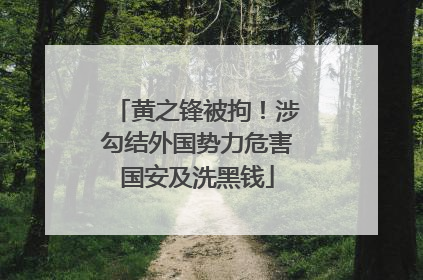 黄之锋被拘！涉勾结外国势力危害国安及洗黑钱